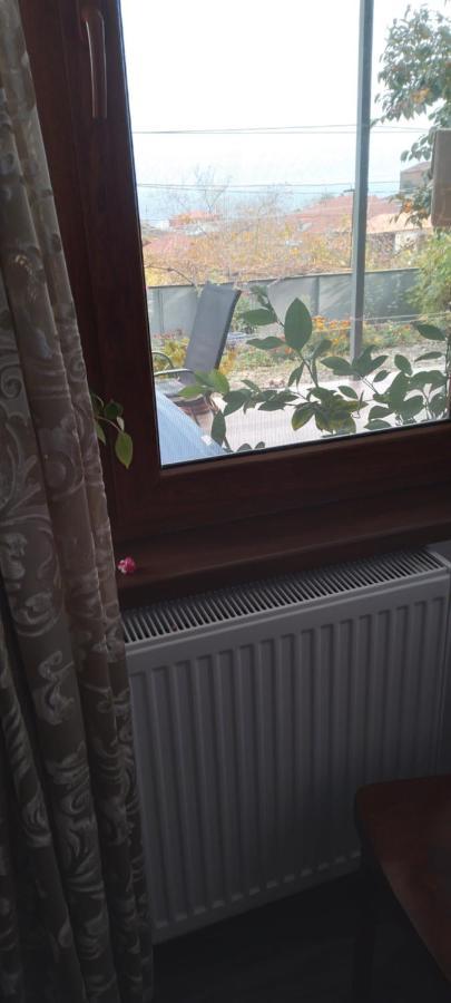 Apartment Giorgi In Sighnaghi Extérieur photo