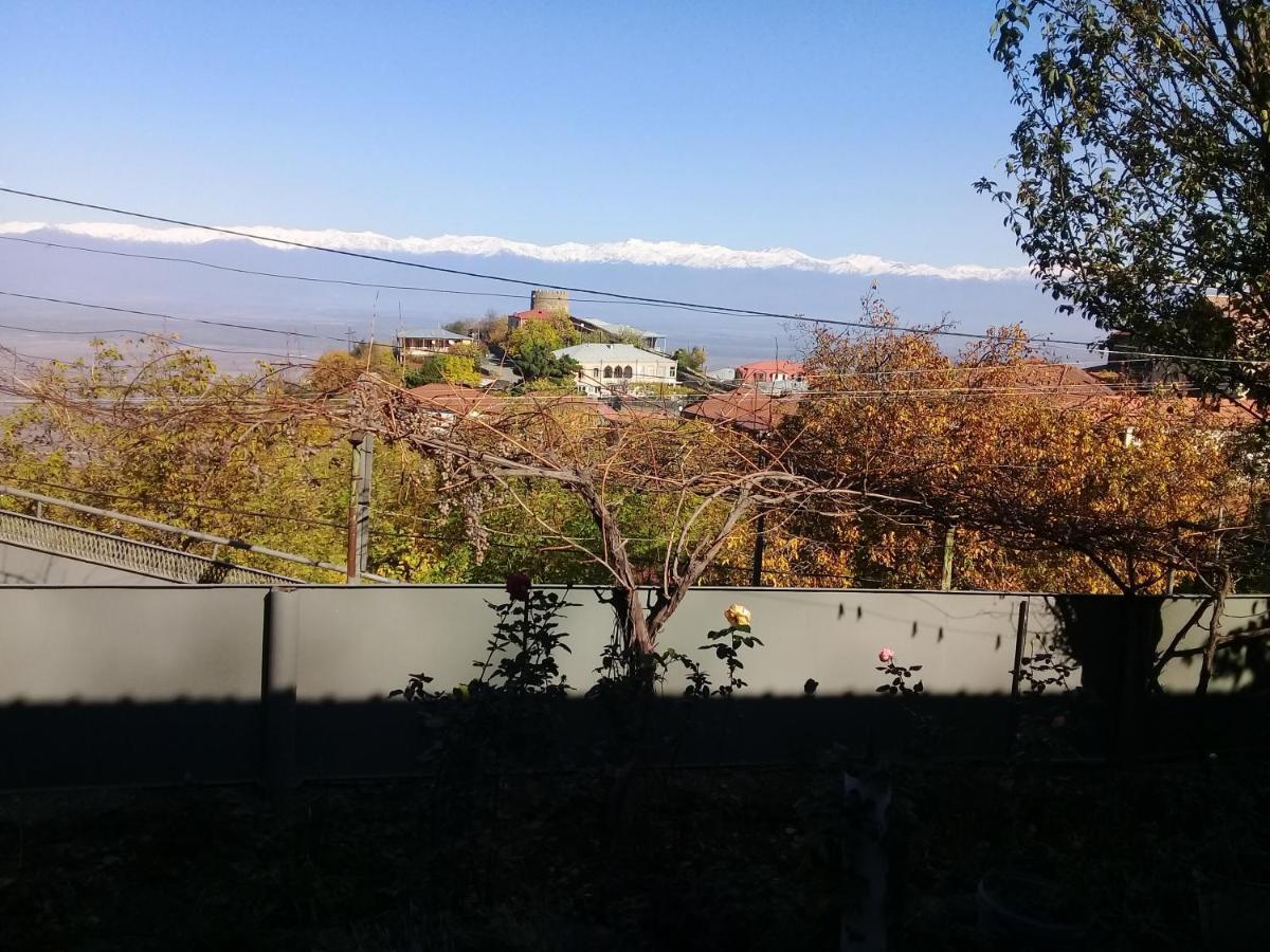Apartment Giorgi In Sighnaghi Extérieur photo